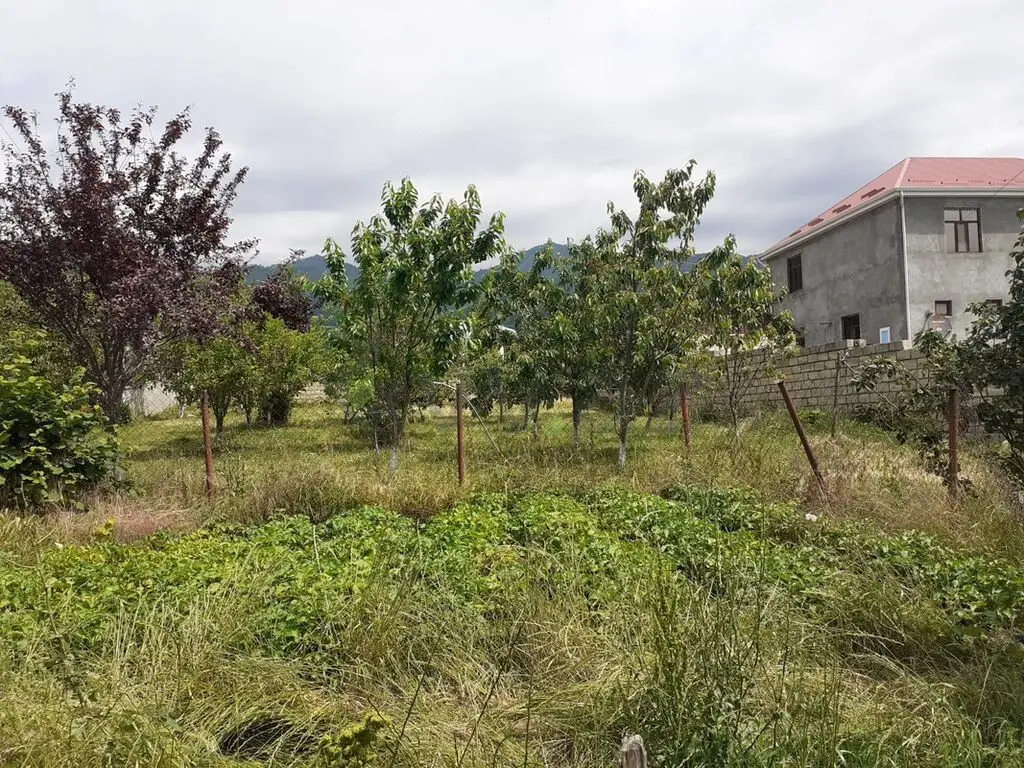 6 sot Torpaq Satılır, Oğuz — Torpaq, Oğuz (3)