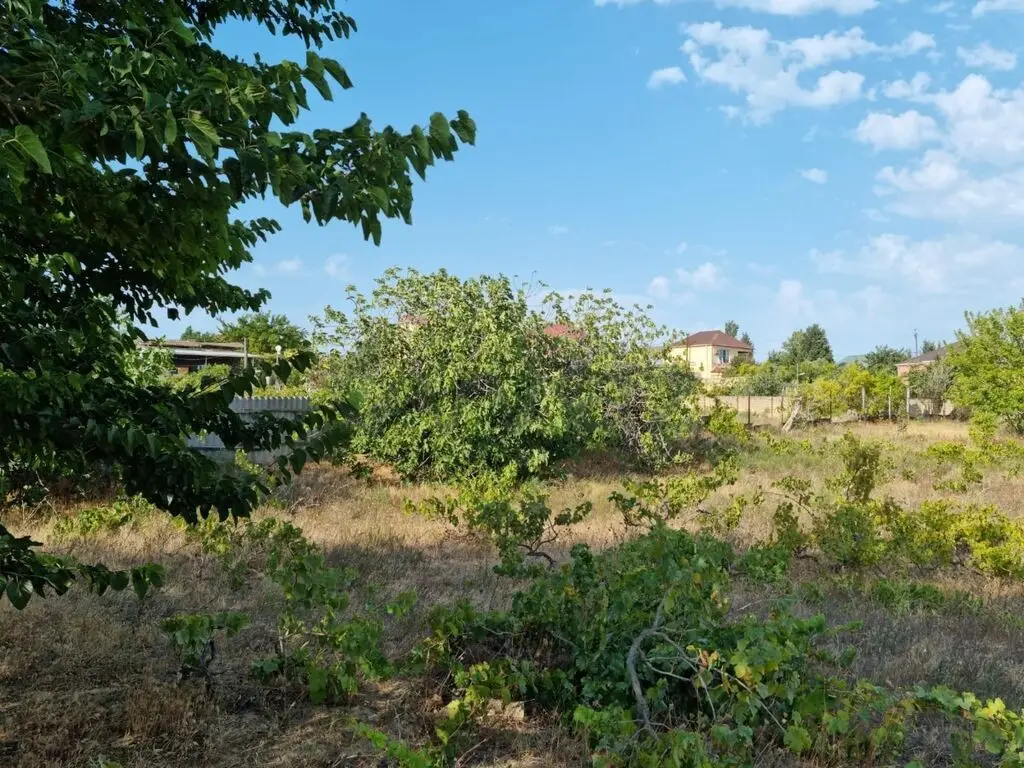34 sot Torpaq Satılır, Qurd dərəsi, Sumqayıt — Torpaq, Sumqayıt (11)