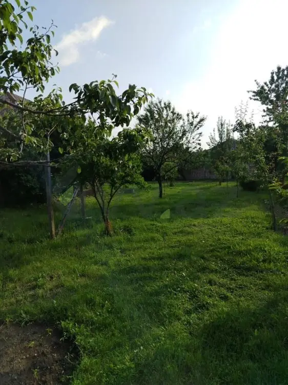 6 sot Torpaq Satılır, Oğuz — Oğuz