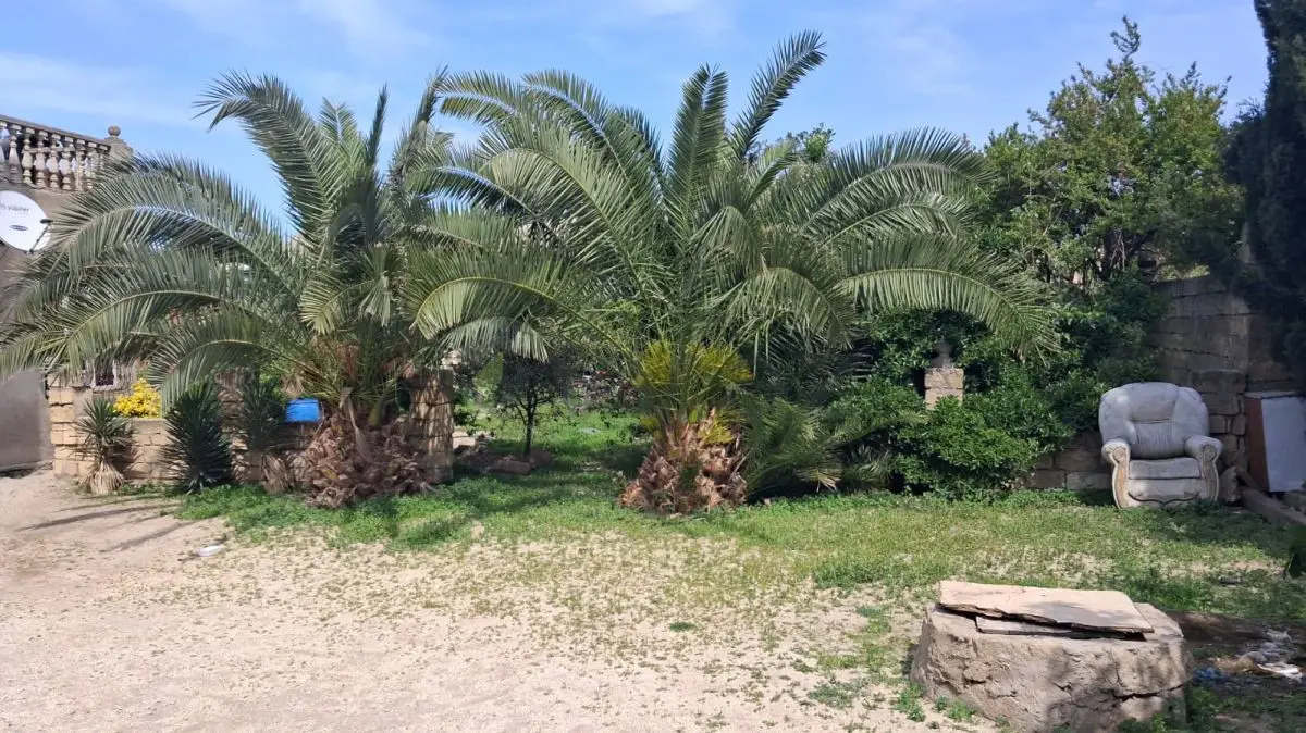 19 sot Torpaq Satılır, Corat köhnə Sumqayıt — Sumqayıt