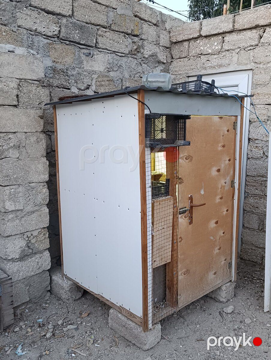 Duş yuvası — Heyvan malları, Bakı (2)