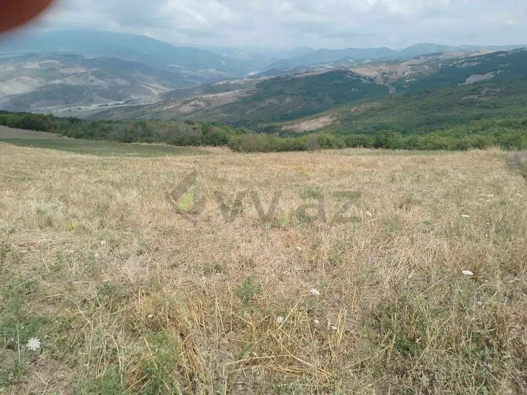 232 sot Torpaq Satılır, Şamaxı — Torpaq, Şamaxı (7)