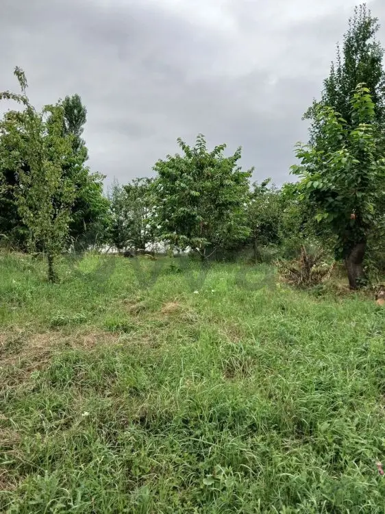 3 sot Torpaq Satılır, Qusar — Qusar