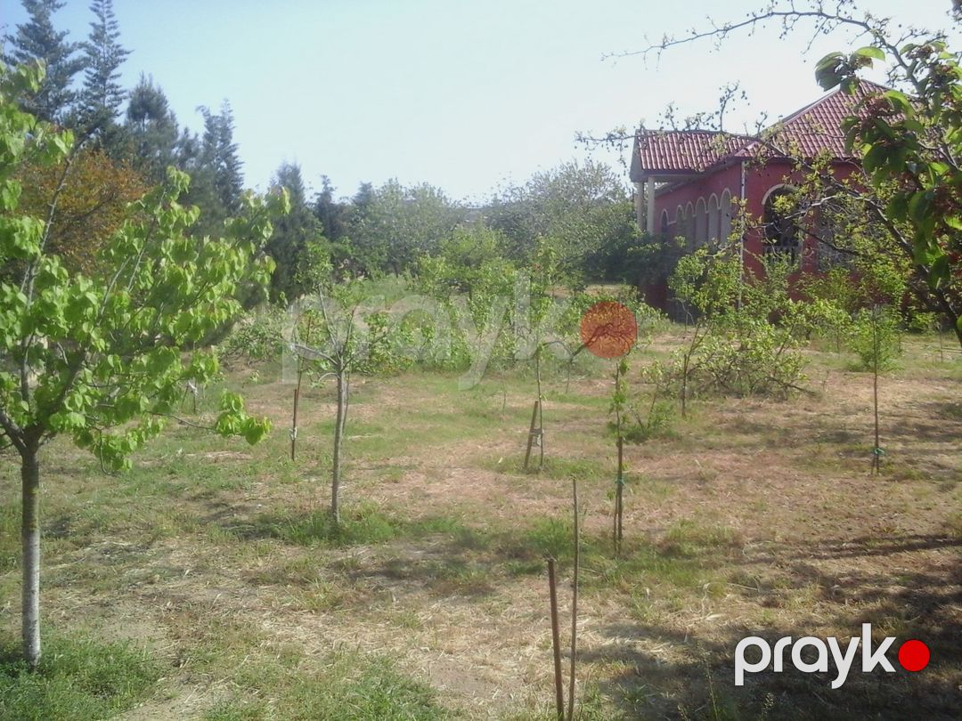 Satılır 3 otaqlı həyət evi/bağ evi 80 m² — Ev, villa, Bakı (10)