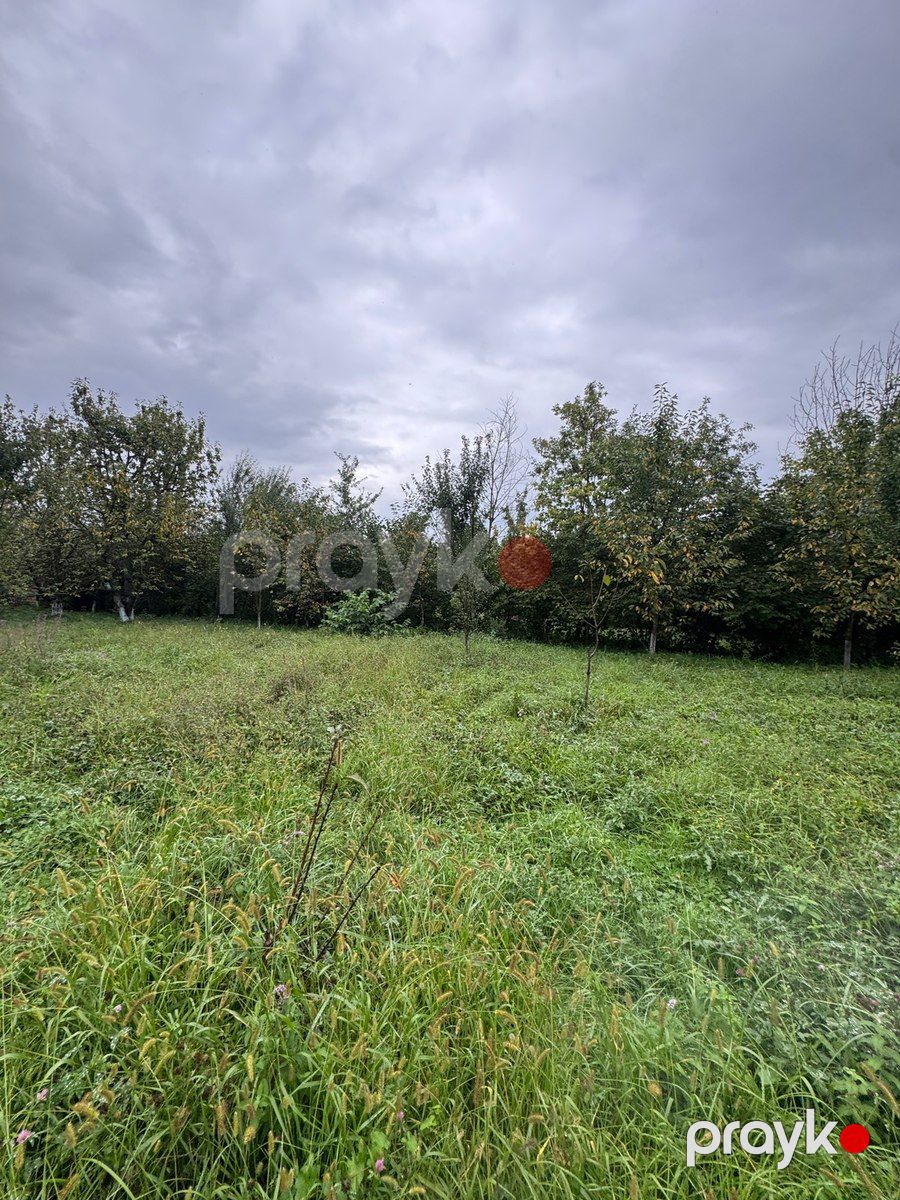 12 sot torpaq sahəsi, Qusar r — Torpaq, Qusar (9)