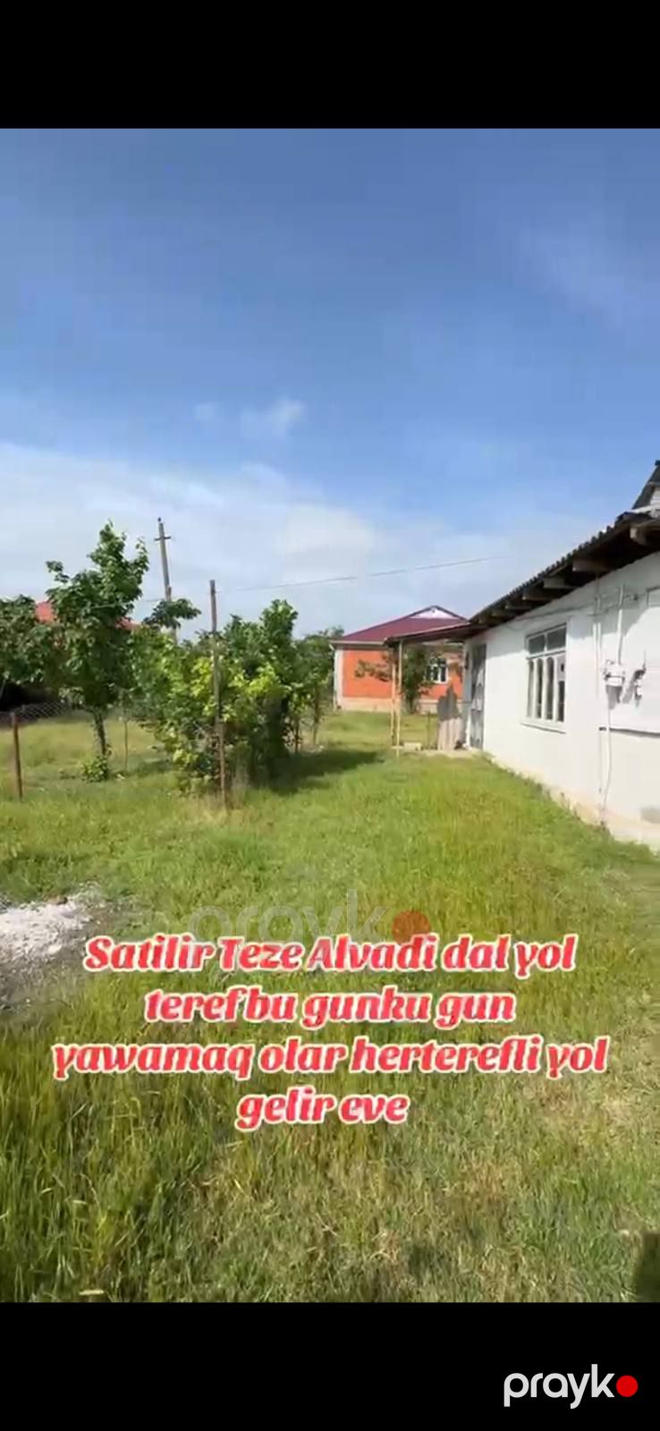 Masallı r., Təzə Alvadı kəndində satılıq həyət evi / torpaq sahəsi — Ev, villa (2)