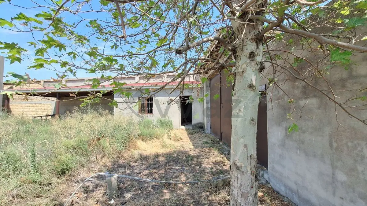 15.5 sot Torpaq Satılır, Masazır, Abşeron — Torpaq (6)