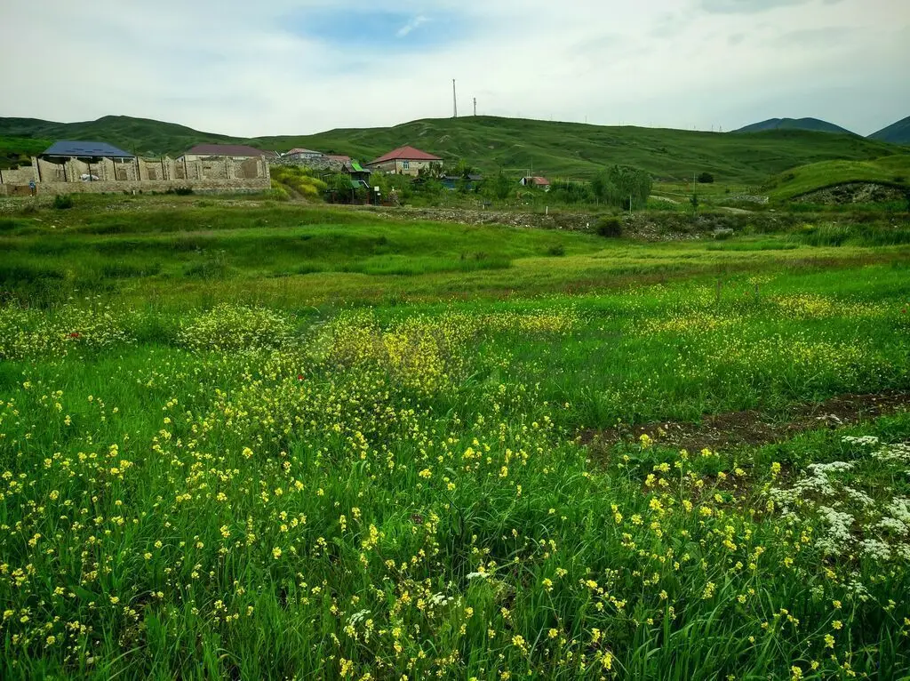 151 sot Torpaq Satılır, Şamaxı — Torpaq, Şamaxı (3)
