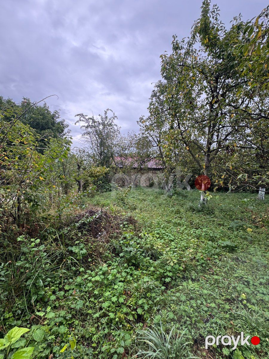 12 sot torpaq sahəsi, Qusar r — Torpaq, Qusar (4)