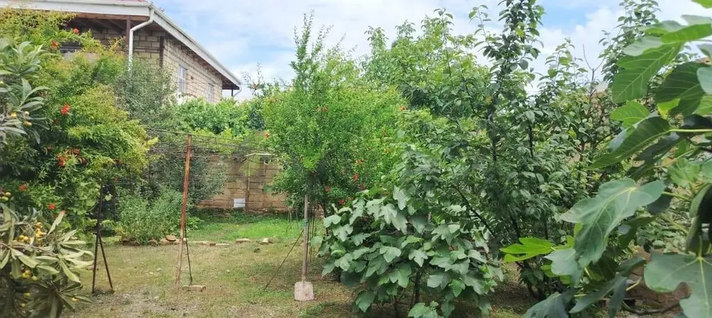 4 otaqlı Həyət evi Satılır, Gəncə — Gəncə