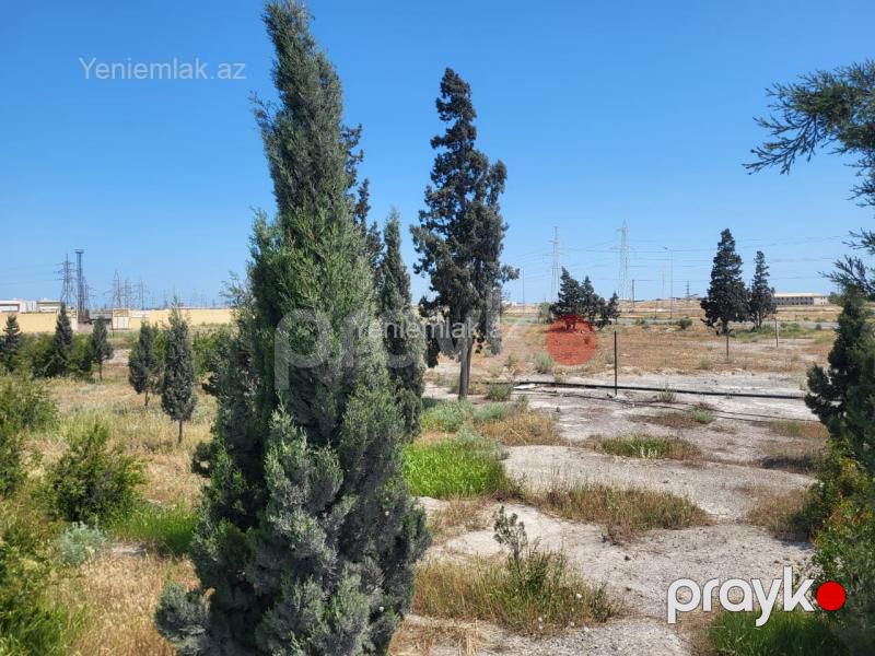 Satılır Torpaq sahəsi, 12.5 sot, Sumqayıt şəh — Torpaq, Sumqayıt (8)