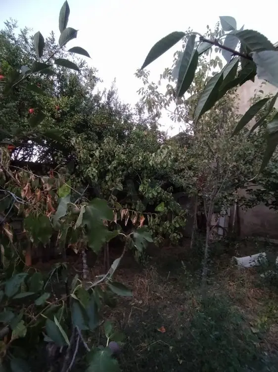 4 otaqlı Həyət evi Satılır, Xırdalan — Ev, villa, Xırdalan (2)