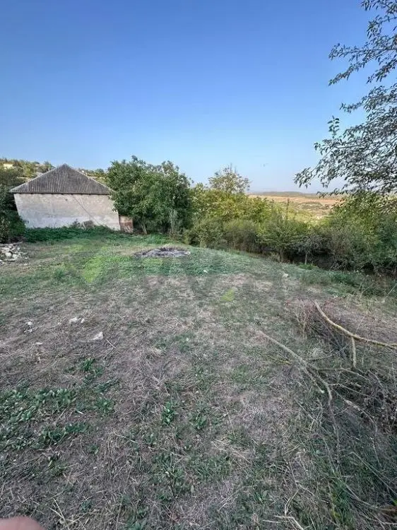 22 sot Torpaq Satılır, Şabran — Torpaq, Şabran (4)