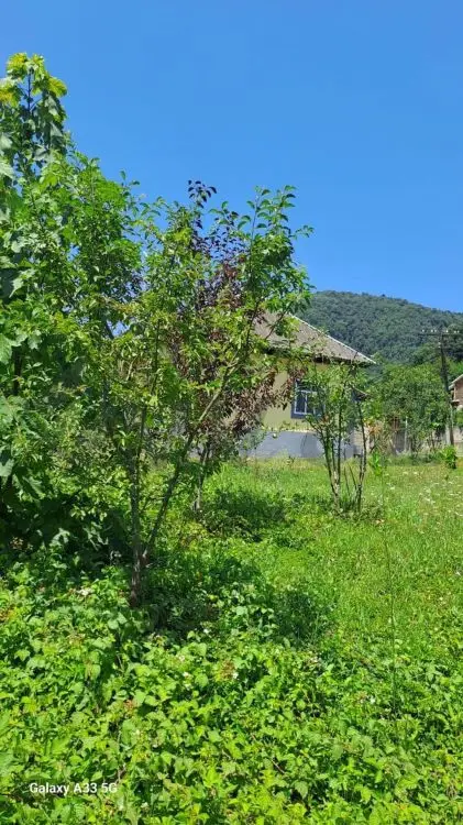 3 otaqlı Həyət evi Kirayə (günlük), Lerik — Ev, villa, Lerik (2)