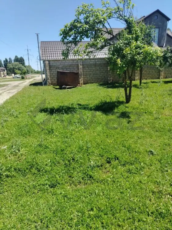 4 sot Torpaq Satılır, Quba — Torpaq, Quba (2)