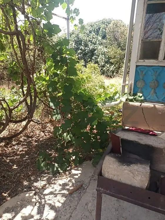 4 otaqlı Həyət evi Satılır, Naxçıvan MR — Ev, villa (7)
