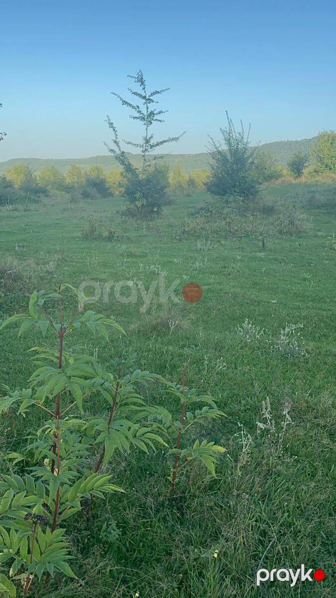 Satılır torpaq 76 sot — Torpaq, Quba (9)