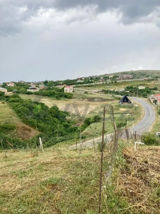 12 sot Torpaq Satılır, Şamaxı — Torpaq, Şamaxı (4)