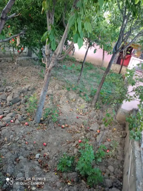 4 otaqlı Həyət evi Satılır, Ağstafa — Ev, villa, Ağstafa (2)