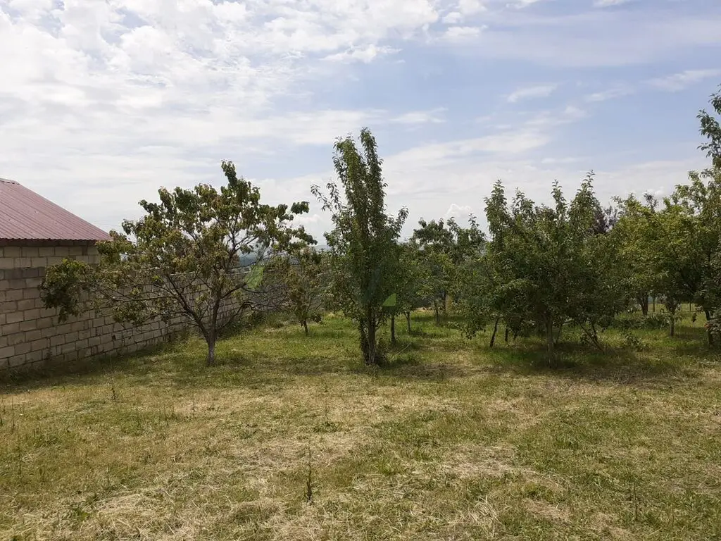 6 sot Torpaq Satılır, Oğuz — Oğuz