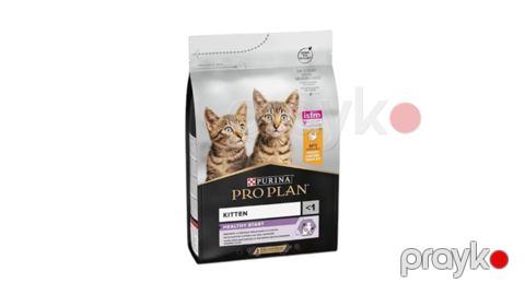 Quru yem Pro Plan Kitten Healthy star, 1 kq — Bakı