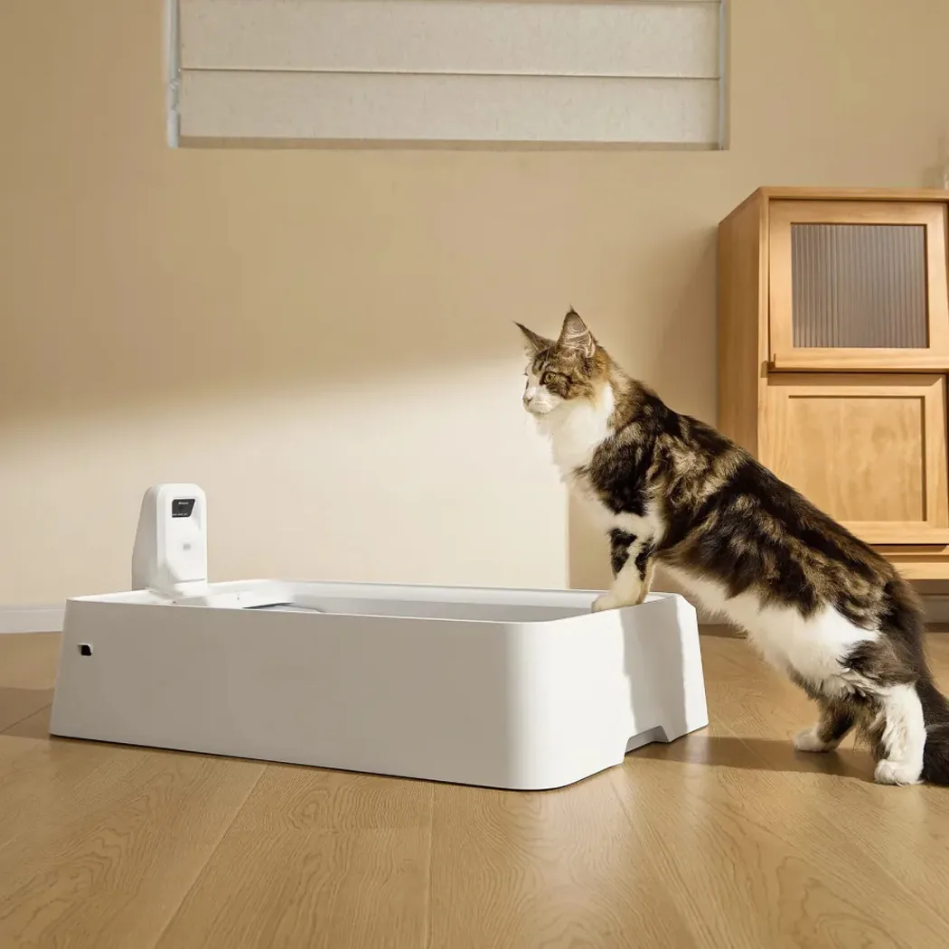 Petkit Purobot Crystal Duo With Camera (P9905) — Mallar, Bakı (2)