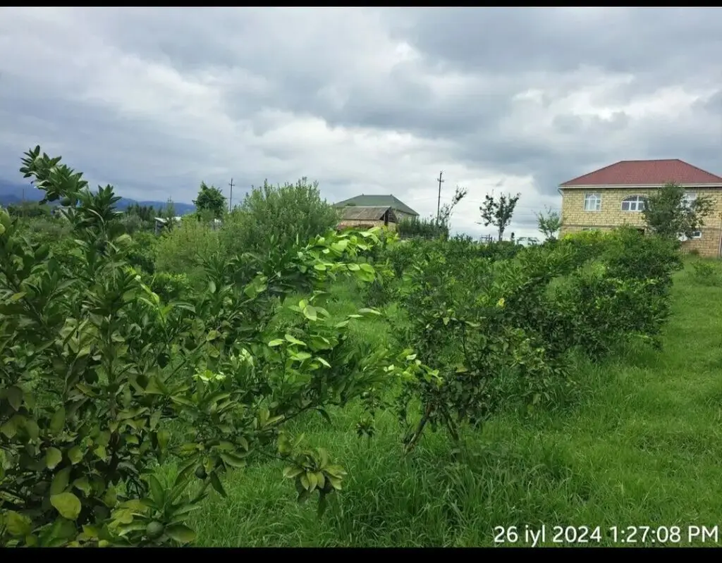 4 otaqlı Həyət evi Satılır, Astara — Ev, villa, Astara (10)