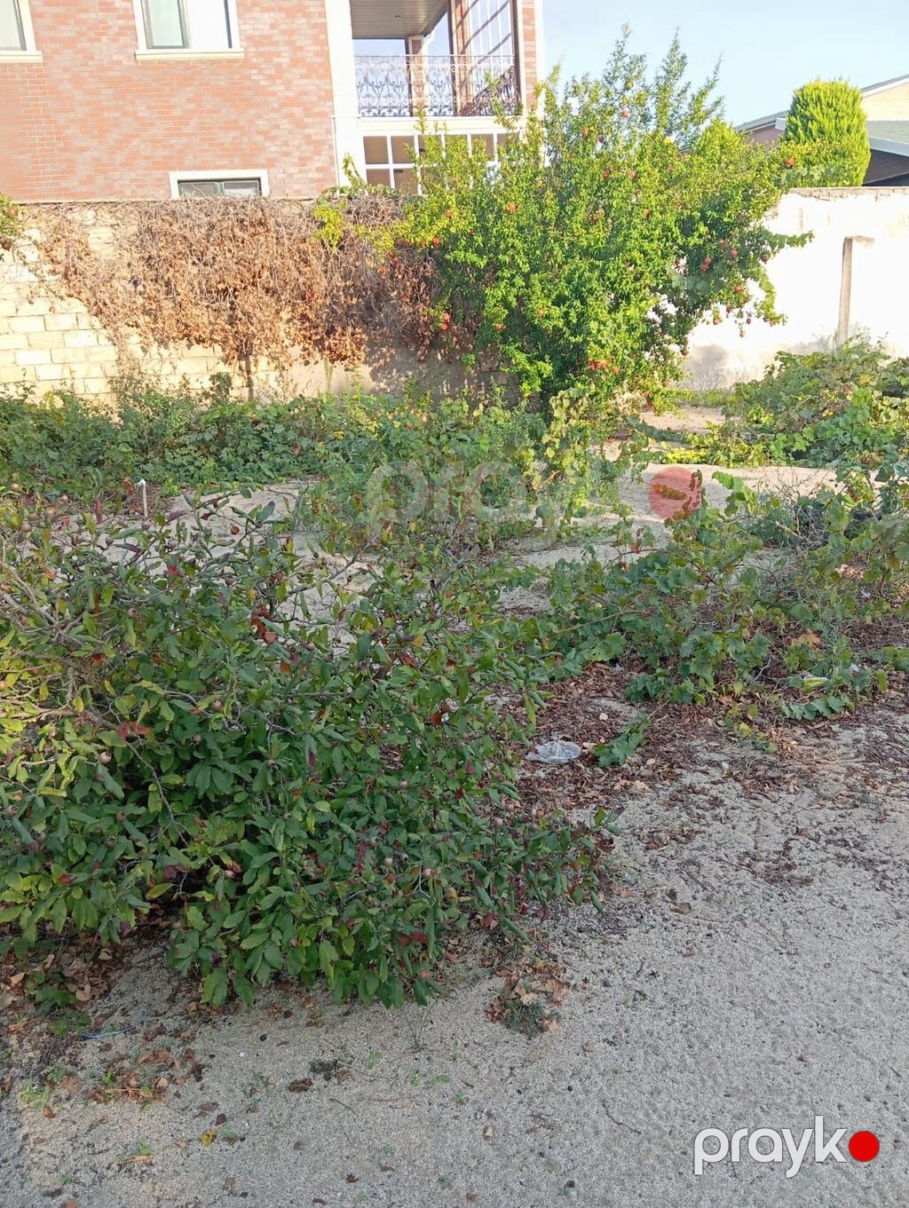 8 sot, Tikinti, Mülkiyyətçi, Kupça (Çıxarış) — Torpaq, Bakı (5)
