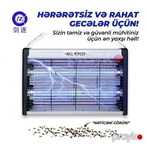 Ağcaqanad öldürən — Bakı