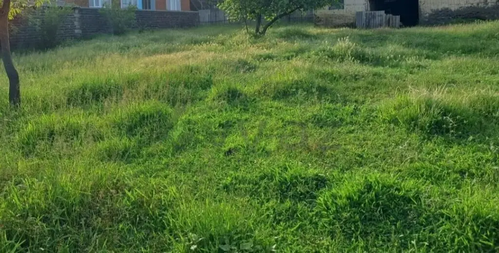 6 sot Torpaq Satılır, Lənkəran — Torpaq, Lənkəran (2)