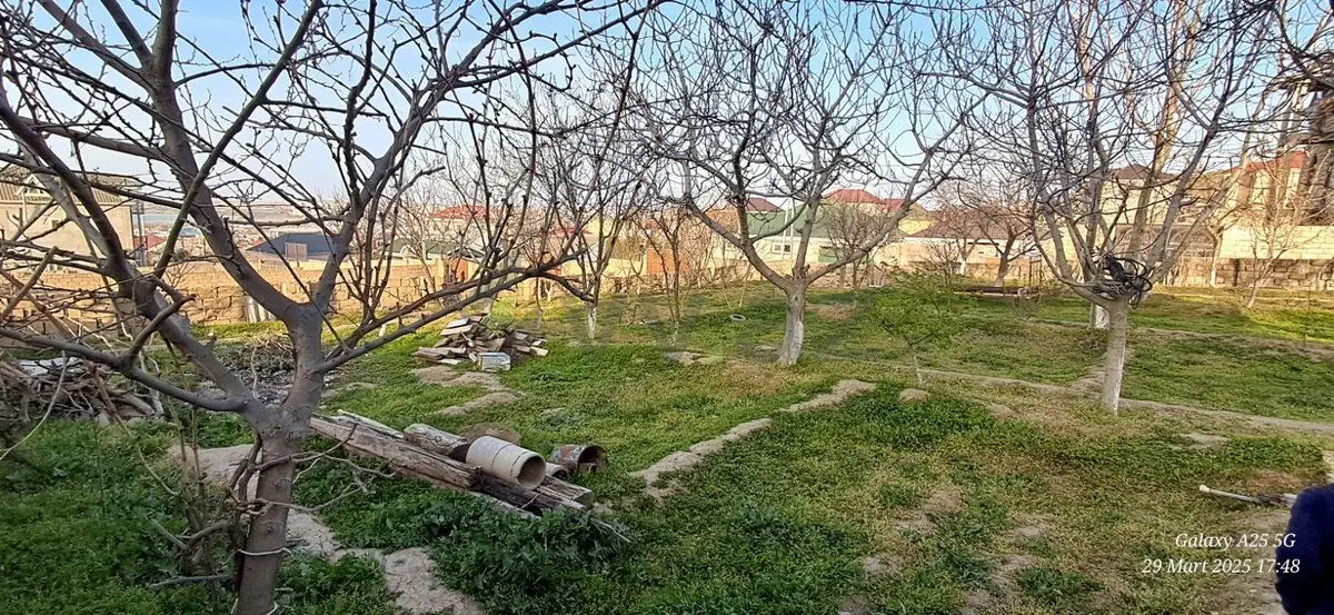 3 sot Torpaq Satılır, Atyalı, Abşeron — Torpaq (2)