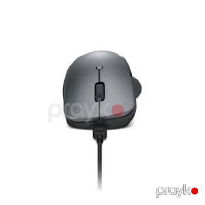 Lenovo Professional 4Y51J62544 Simsiz Bluetooth Şarjlı Siçan — Elektronika, Bakı (2)