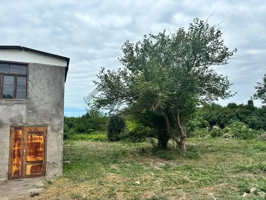 24 sot Torpaq Satılır, Xaçmaz — Torpaq, Xaçmaz (5)
