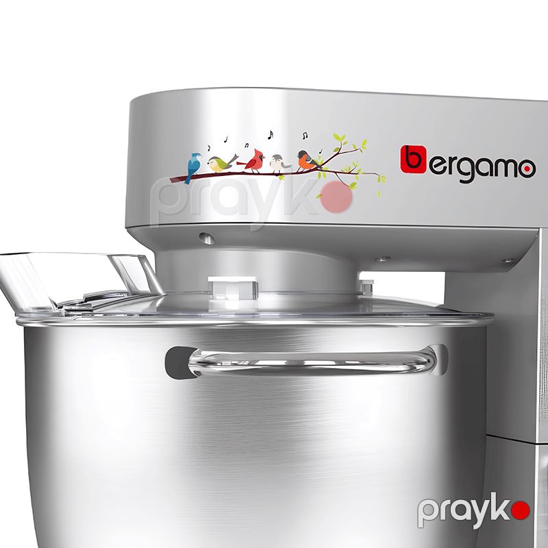 Mikser Bergamo BG-SM3591SDS — Blenderlər, xırdalayanlar və mikserlər, Bakı (2)