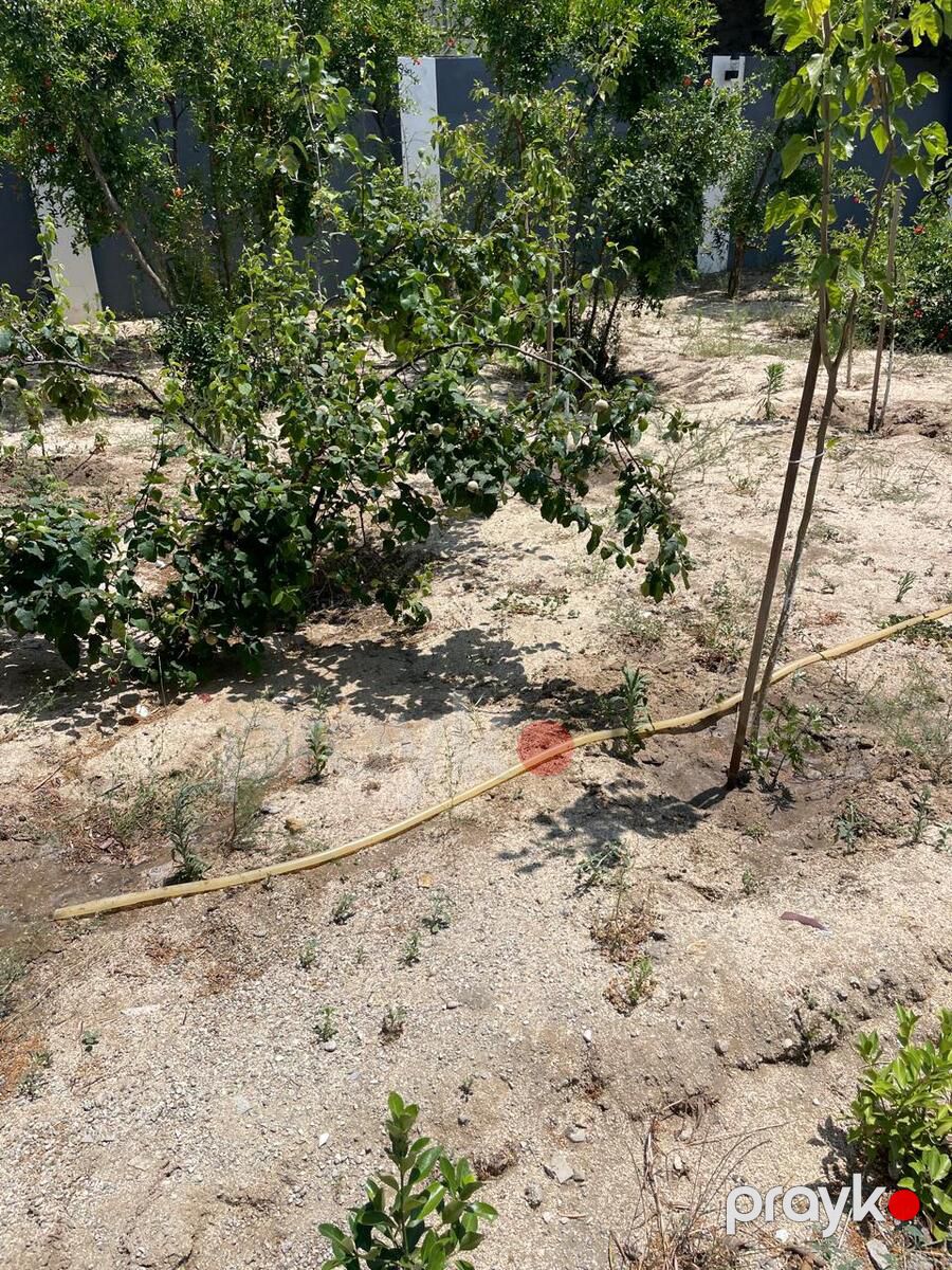 Satılır 4 otaqlı həyət evi/bağ evi 150 m² — Ev, villa, Bakı (5)