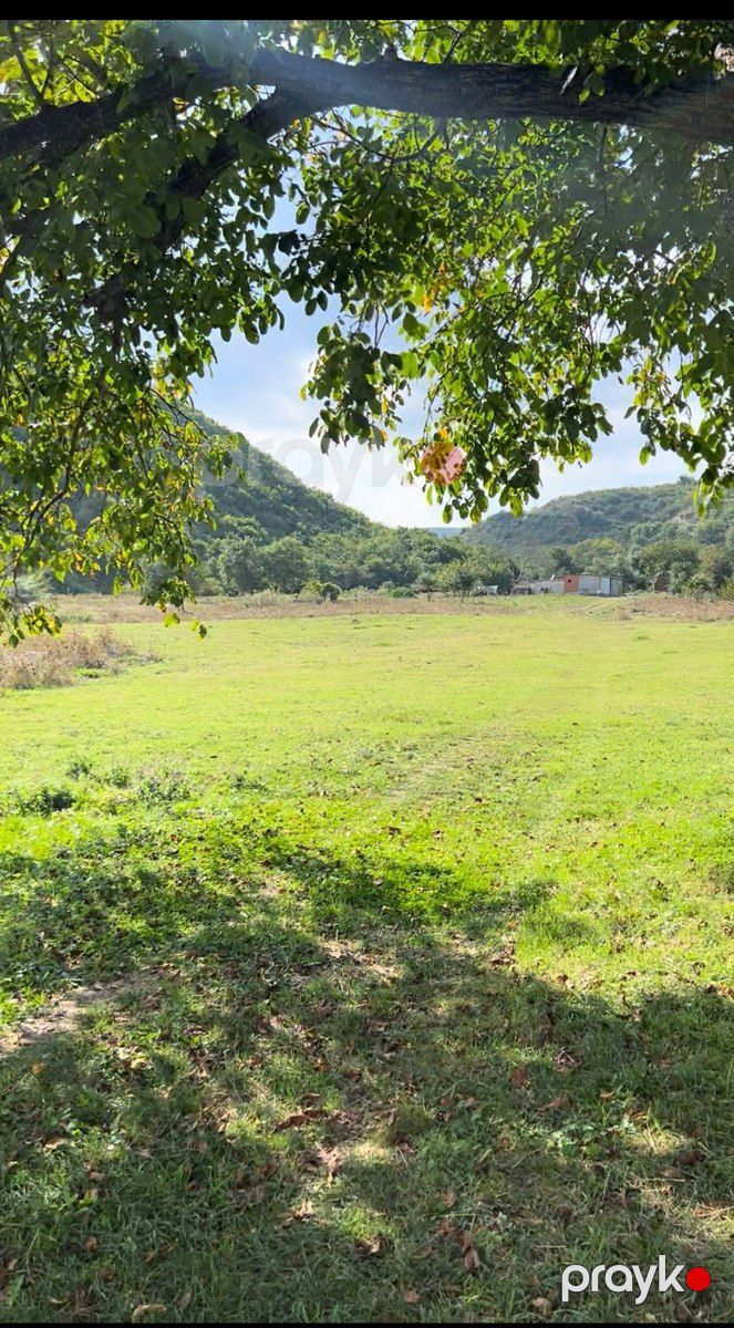 1050 sot torpaq sahəsi, Şamaxı r — Torpaq, Şamaxı (11)
