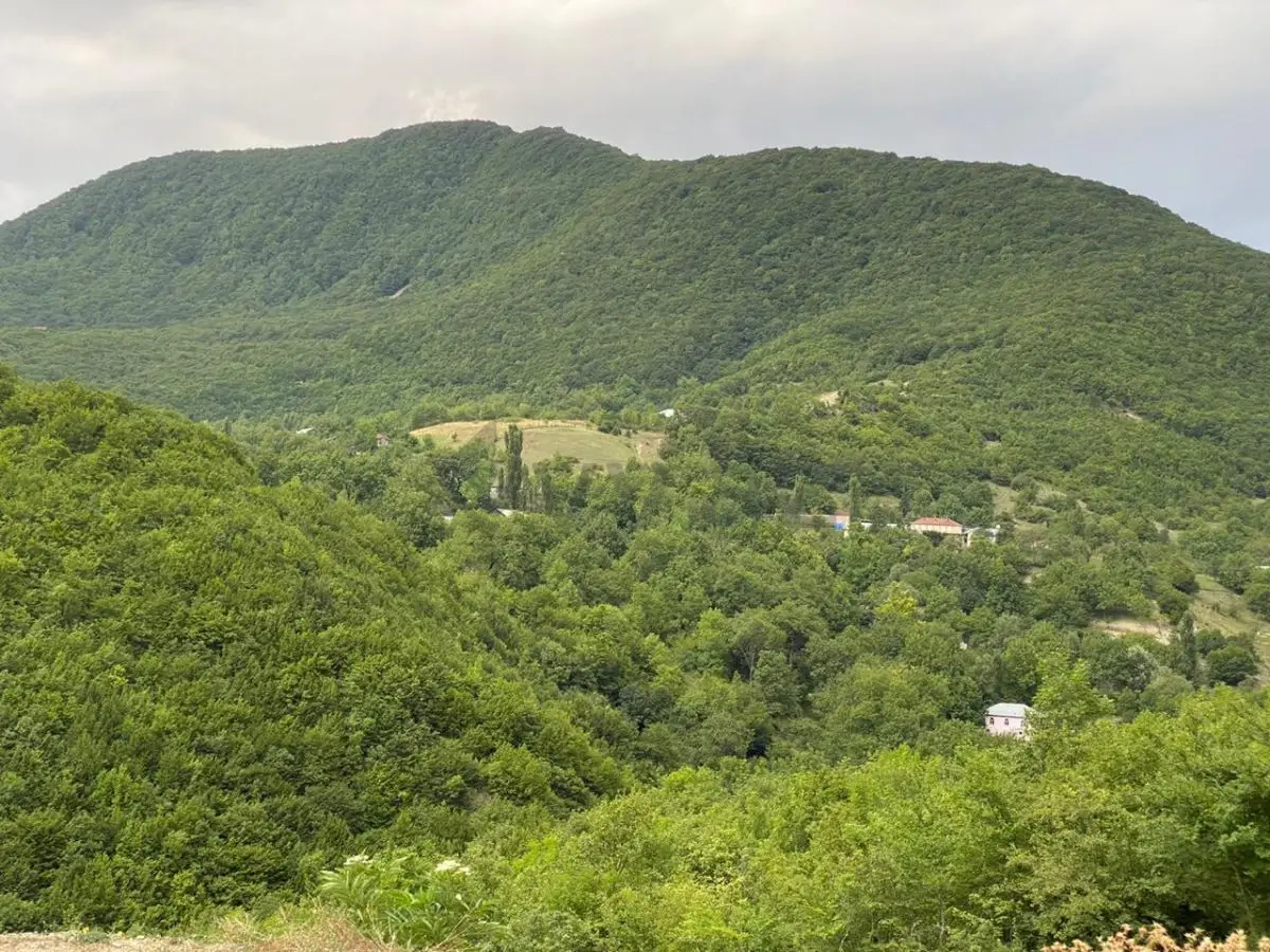3 otaqlı Həyət evi Kirayə (günlük), Şamaxı — Ev, villa, Şamaxı (2)