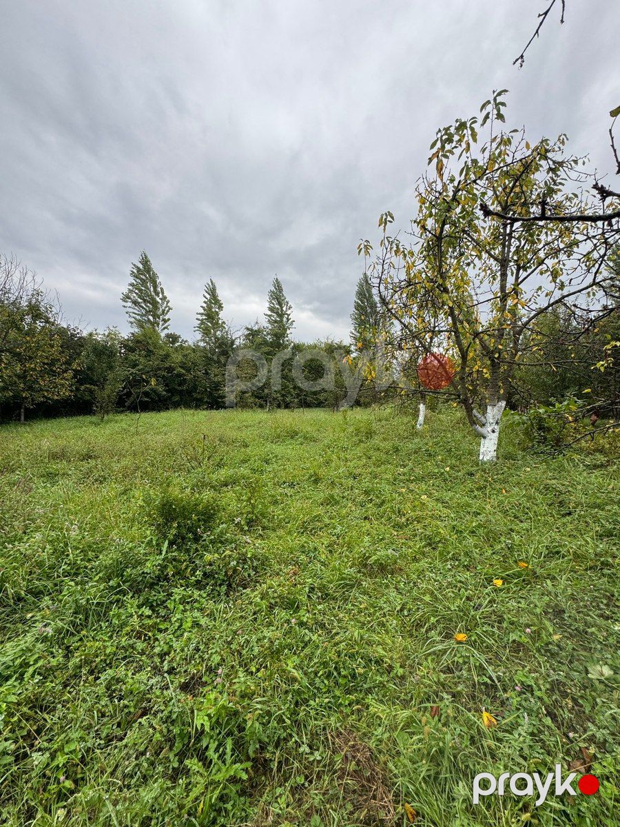 12 sot torpaq sahəsi, Qusar r — Torpaq, Qusar (8)