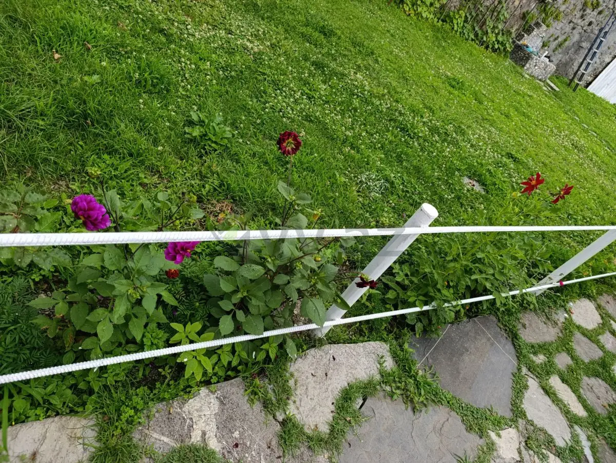3 otaqlı Həyət evi Kirayə, Qax — Ev, villa, Qax (4)