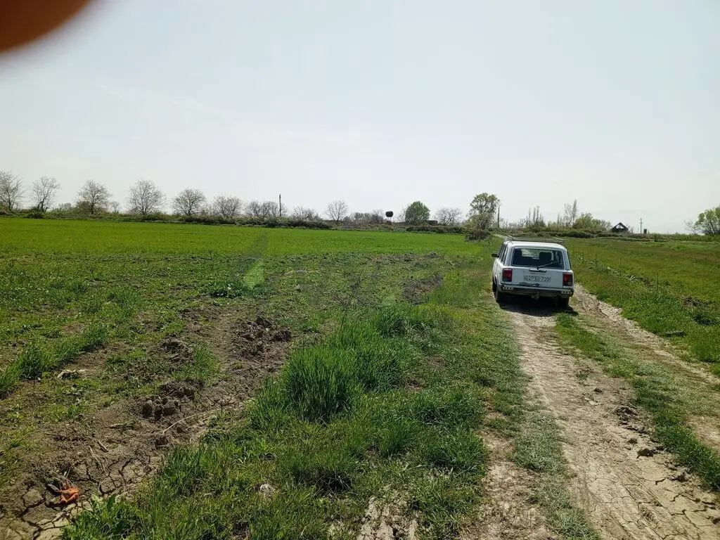 187 sot Torpaq Satılır, Xaçmaz — Torpaq, Xaçmaz (8)
