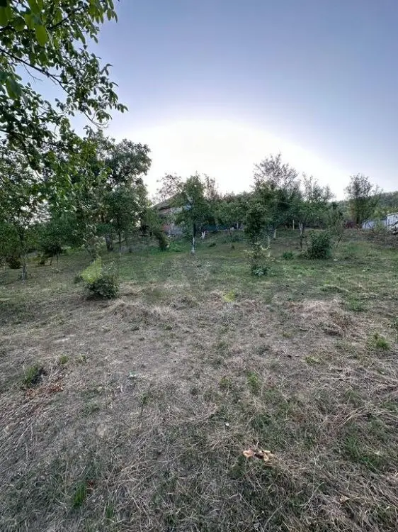 22 sot Torpaq Satılır, Şabran — Torpaq, Şabran (3)