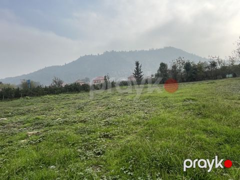 Satılır torpaq 22 sot — Astara