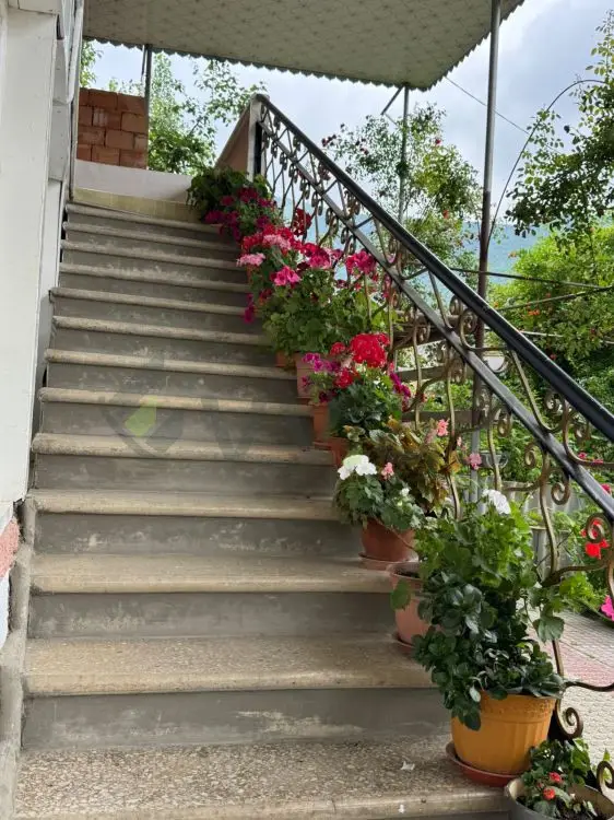 4 otaqlı Həyət evi Satılır, Şəki — Ev, villa, Şəki (2)