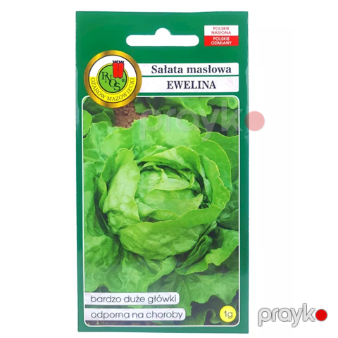 Tərəvəz toxumları Pnos Kahı maslowa Ewelina 1 q — Bakı