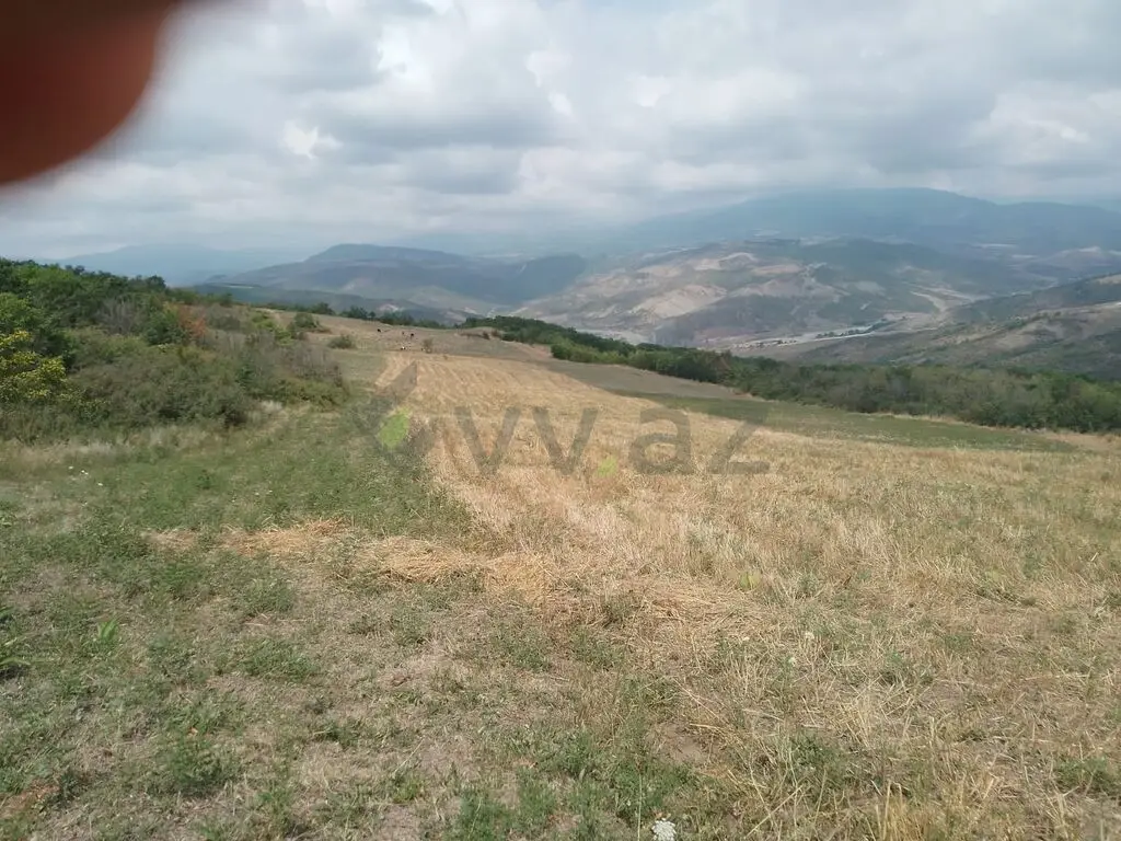 232 sot Torpaq Satılır, Şamaxı — Şamaxı