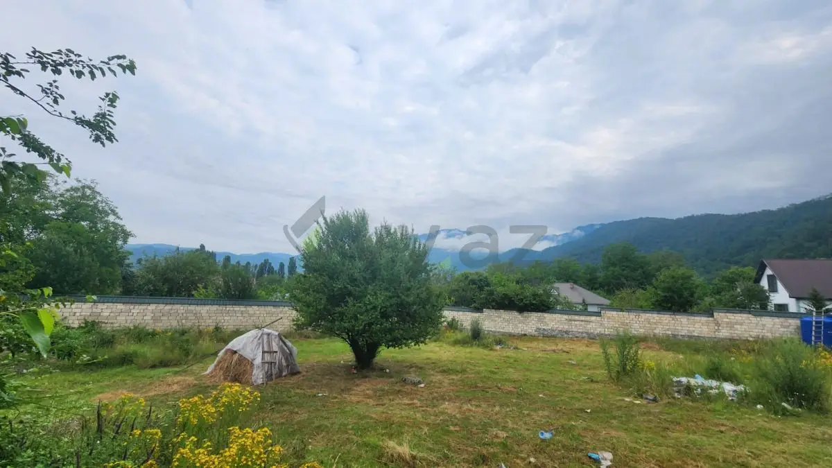 12 sot Torpaq Satılır, Qəbələ — Torpaq, Qəbələ (12)