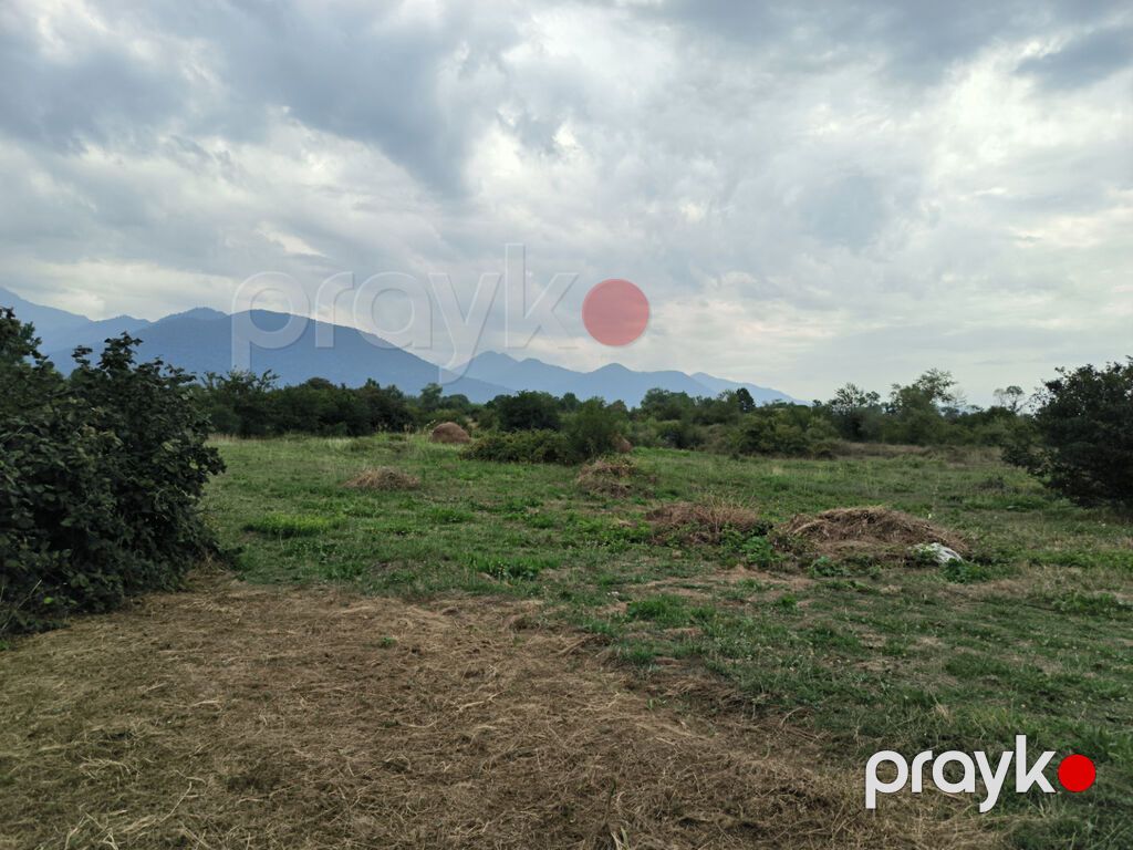 250 sot, Biznes üçün, Mülkiyyətçi, Kupça (Çıxarış) — Torpaq, Qəbələ (7)