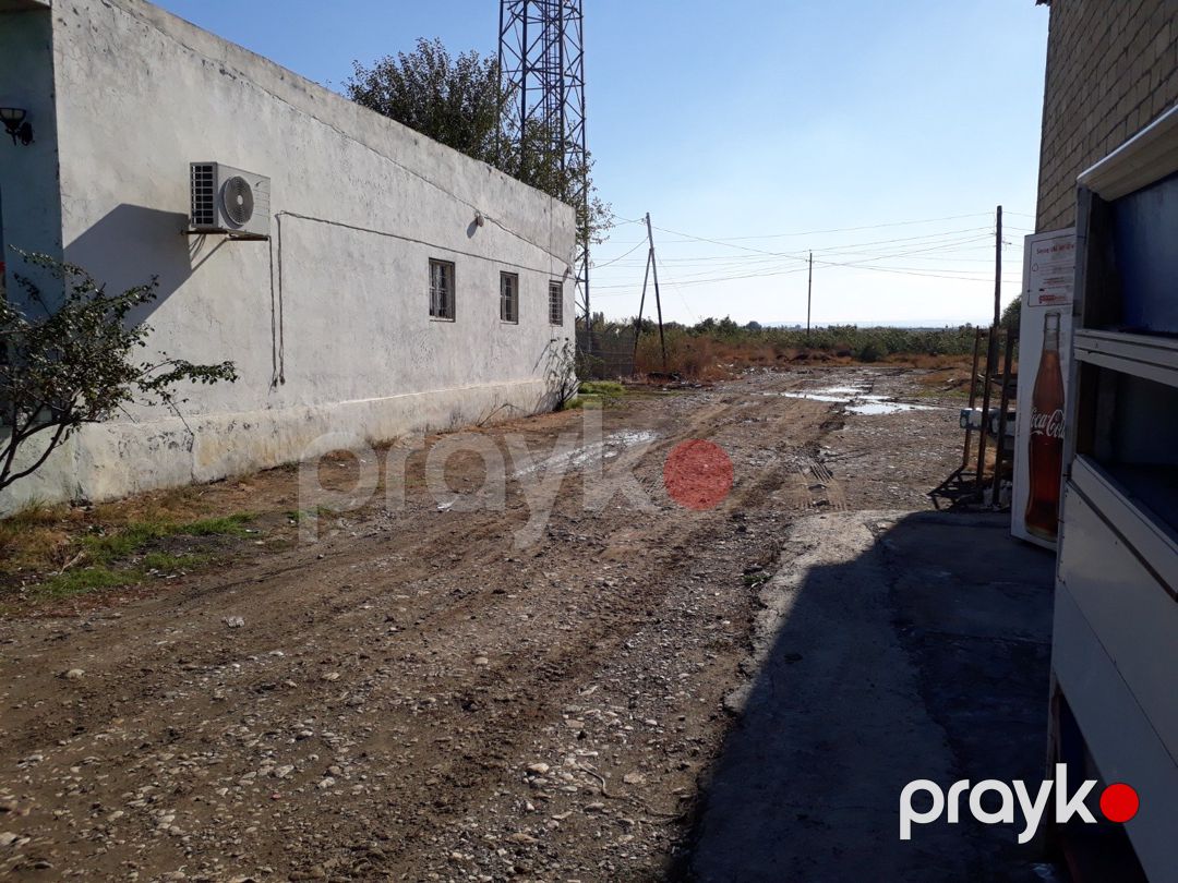 Satılır torpaq 2.3 sot — Torpaq, Goranboy (3)