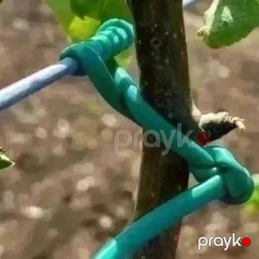 Agro rezin — Ev malları, Bakı (2)