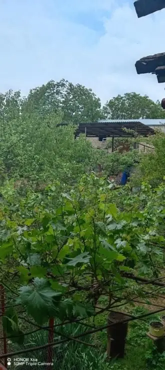 4 otaqlı Həyət evi Satılır, Şamaxı — Ev, villa, Şamaxı (7)